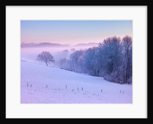 Winter landsacpe in Switzerland by Assaf Frank